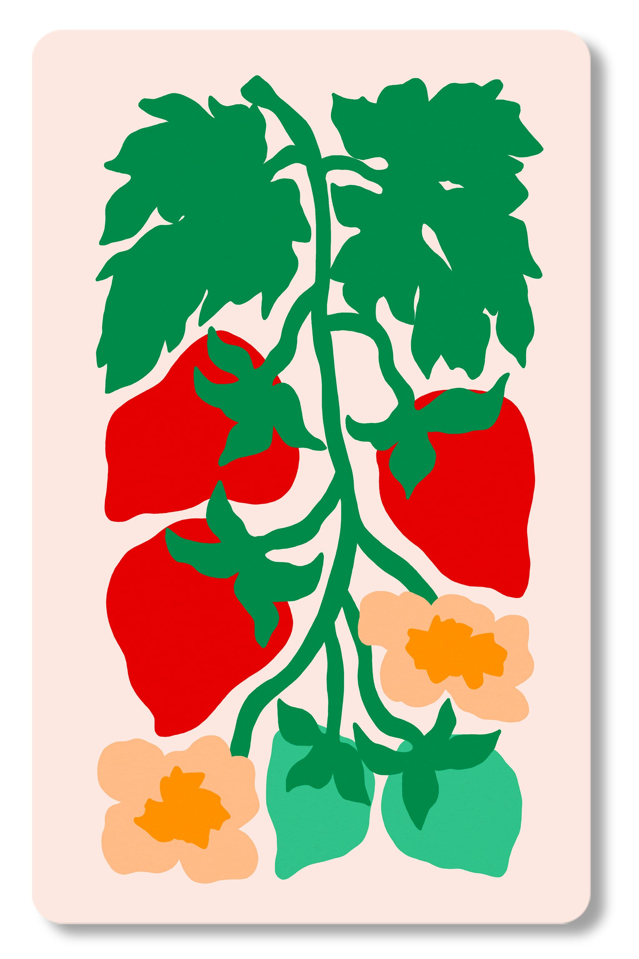 CARTE CADEAU